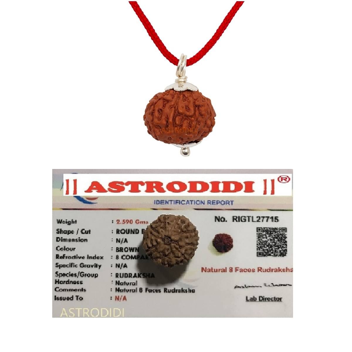     			Certified 8 Mukhi Rudraksha Eight Face Small Indonesian Java Rudraksha Pendant