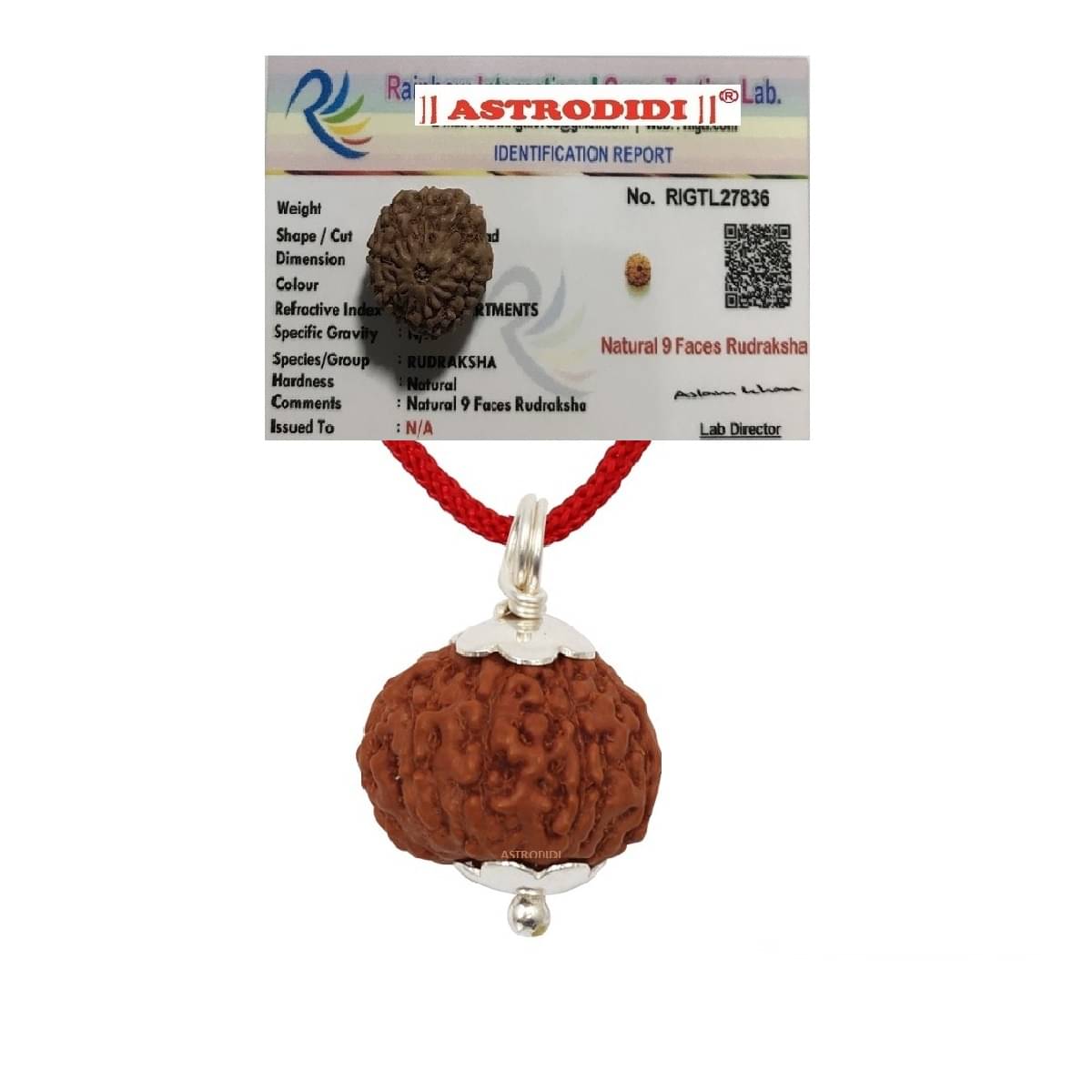     			9 Mukhi Rudraksha Nine Face Small Indonesian Java Rudraksha Pendant with Lab Certificate