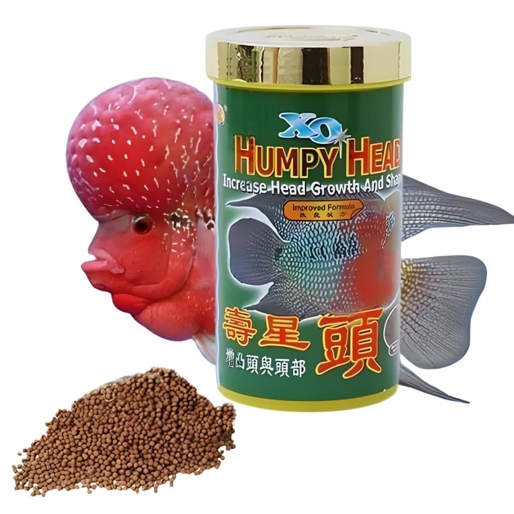 XO Humpy Head (100g) Flower Horn Fish Food Pellets (Original), to Increases Head Growth and Shape XO Humpy Head (100g) Flower Horn Fish Food Pellets (Original), to Increases Head Growth and Shape