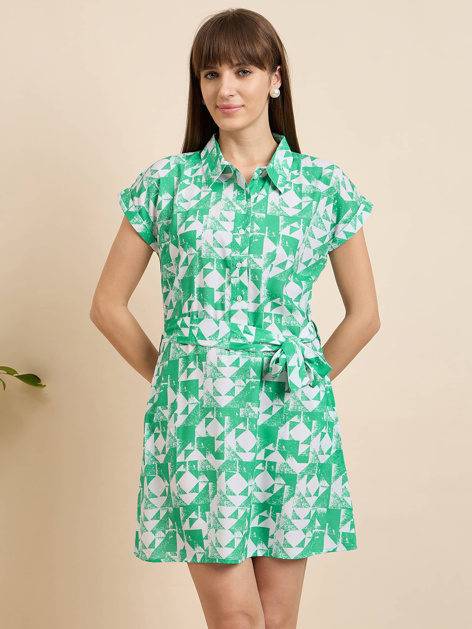     			Anjir Women Polyester Printed A-line Dress ( Green )