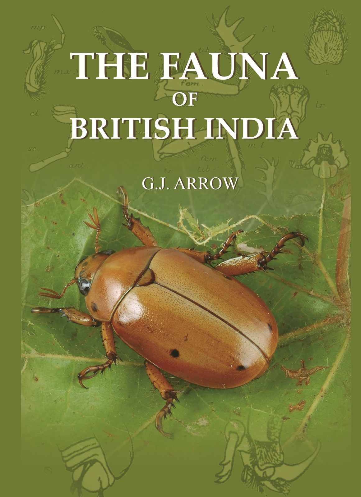     			The Fauna Of British India