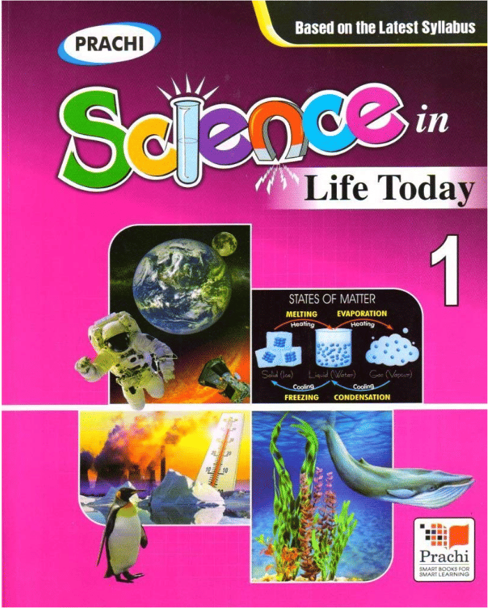     			SCIENCE IN LIFE TODAY CLASS 1