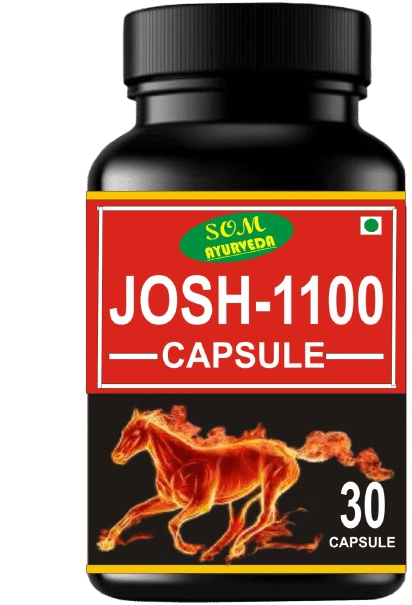     			som  ayurveda Shilajit Capsule 30 gm Pack of 1
