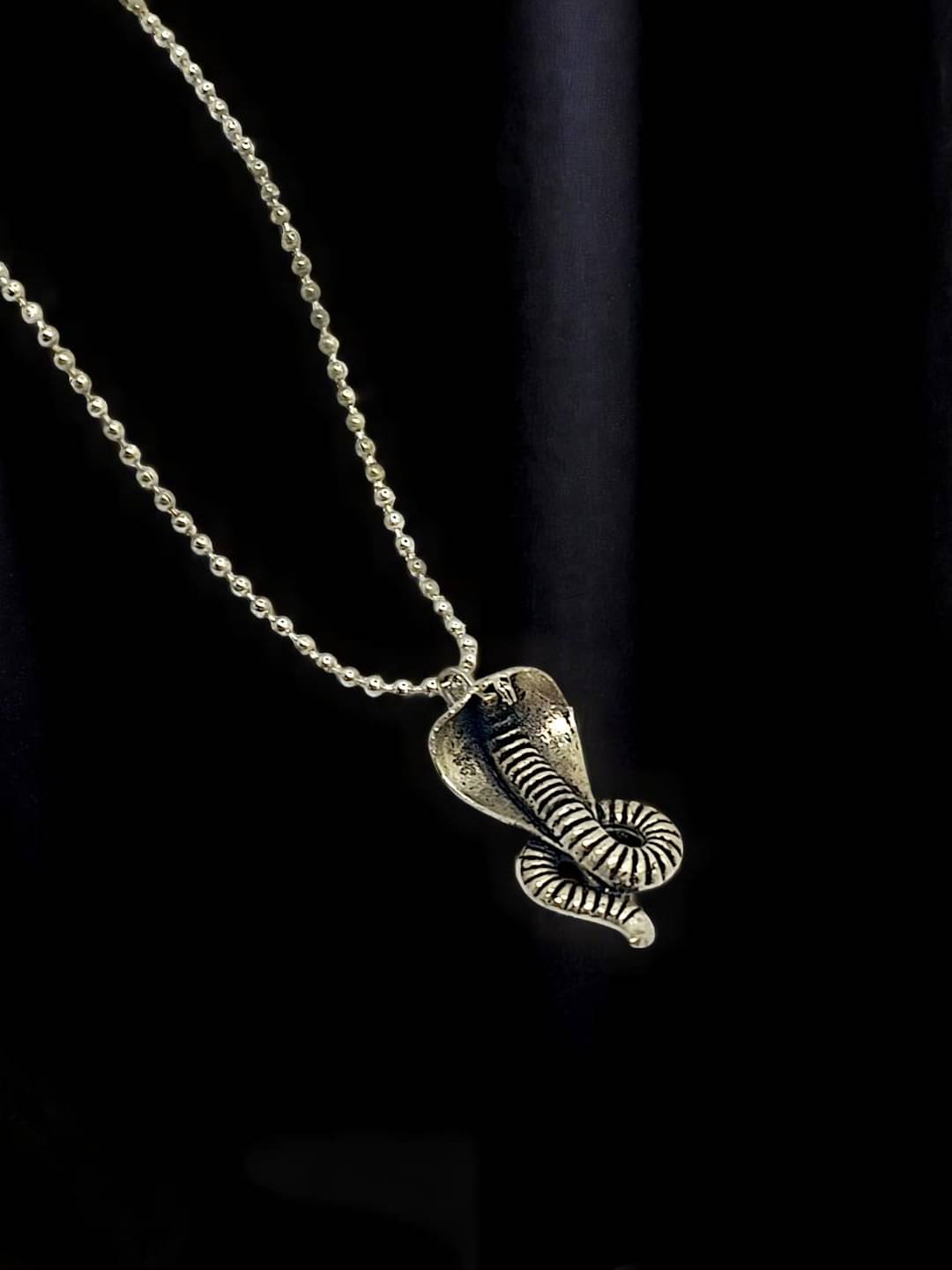     			Men Silver-Plated Snake Pendant Chain