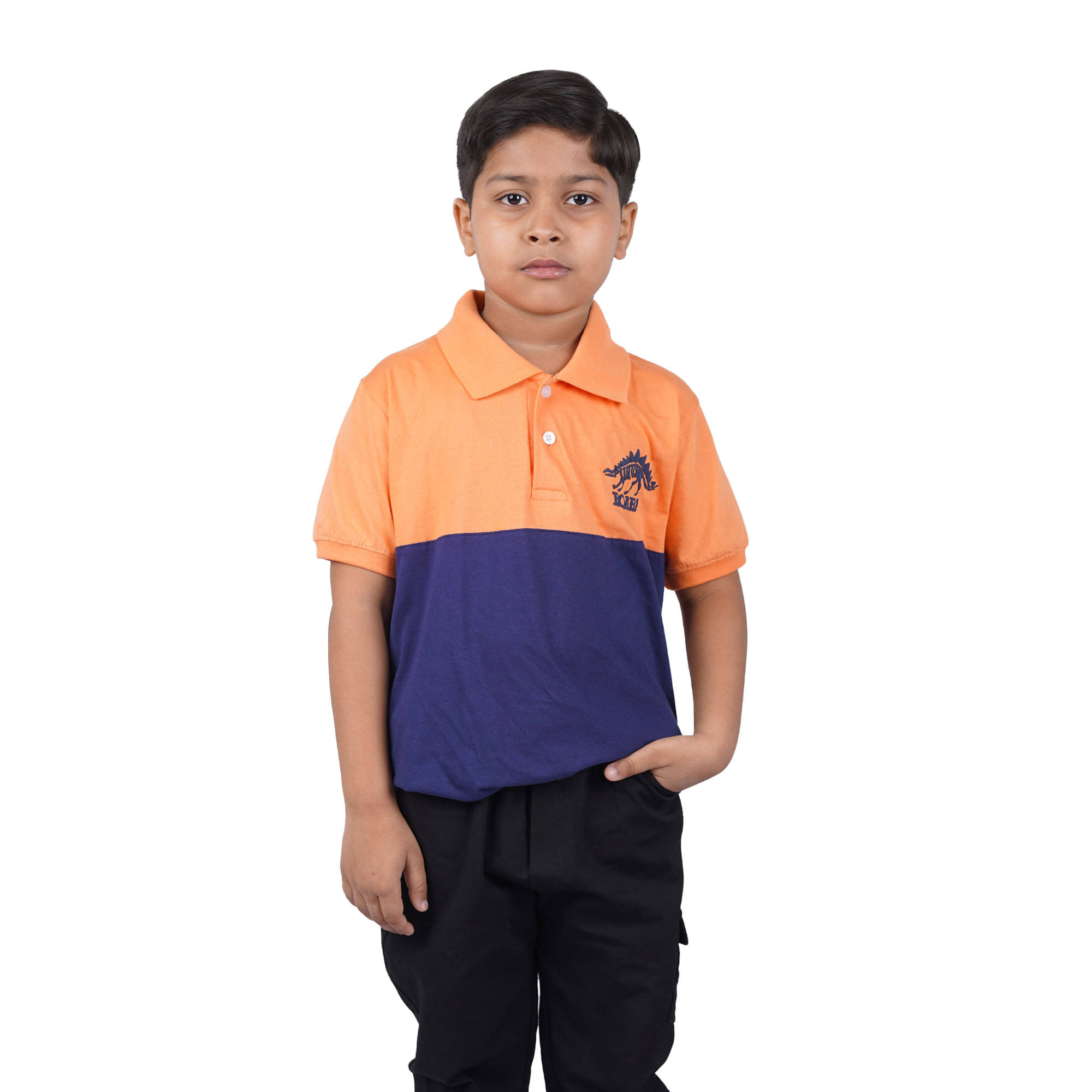     			Kidzee Kingdom Pack of 1 Boys Cotton T-Shirt ( Multicolor )