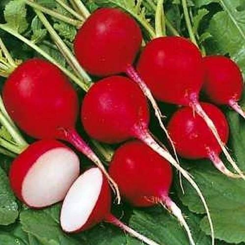 LiveNature Desi Turnip Red Ball/Shalgam Vegetable Plant Seeds | Best For Home Garden & Terrace – Pack of 1000 Seeds LiveNature Desi Turnip Red Ball/Shalgam Vegetable Plant Seeds | Best For Home Garden & Terrace – Pack of 1000 Seeds