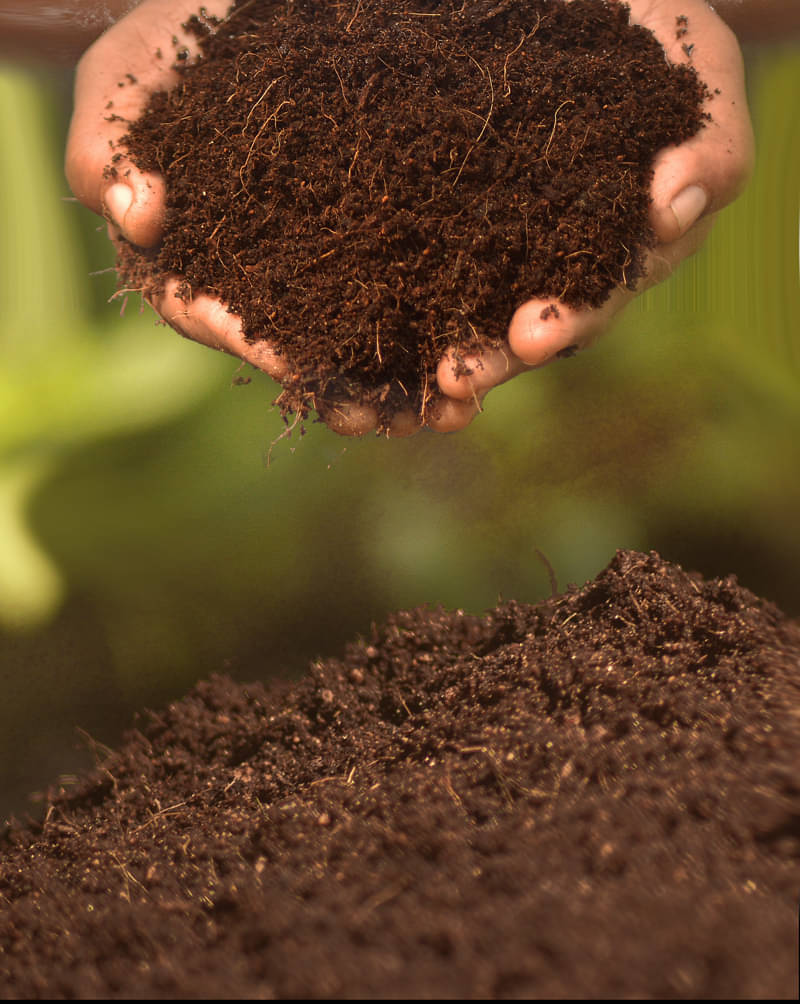     			cocopeat