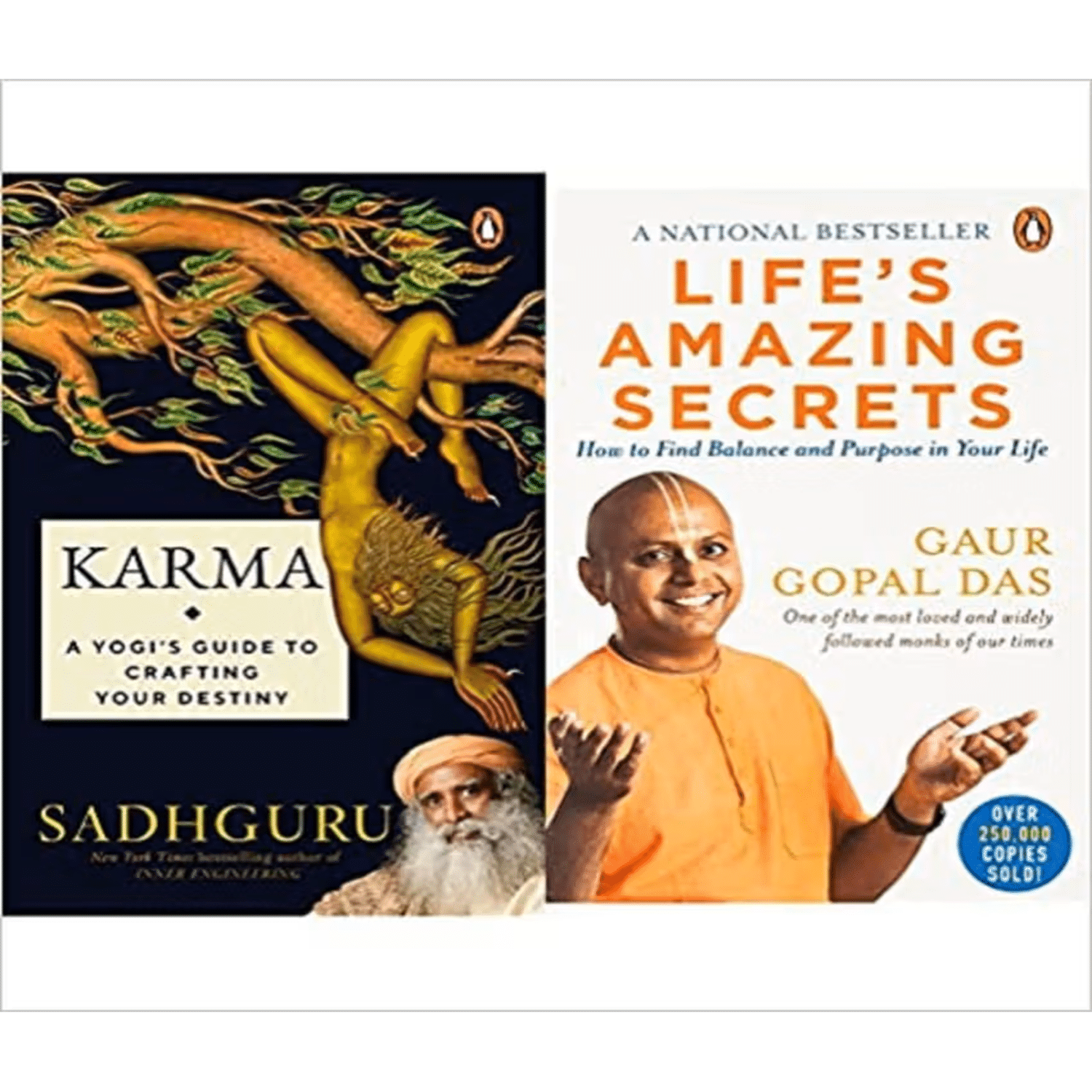    			( Karma + Life's Amazing Secrets  (Paperback By multi