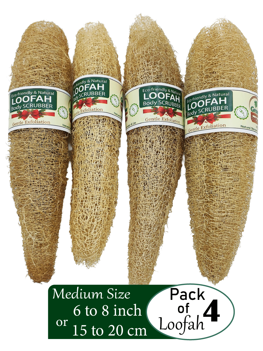 Grow Basket Natural Loofah Sponge Loofah Yellow Pack of 4 Grow Basket Natural Loofah Sponge Loofah Yellow Pack of 4