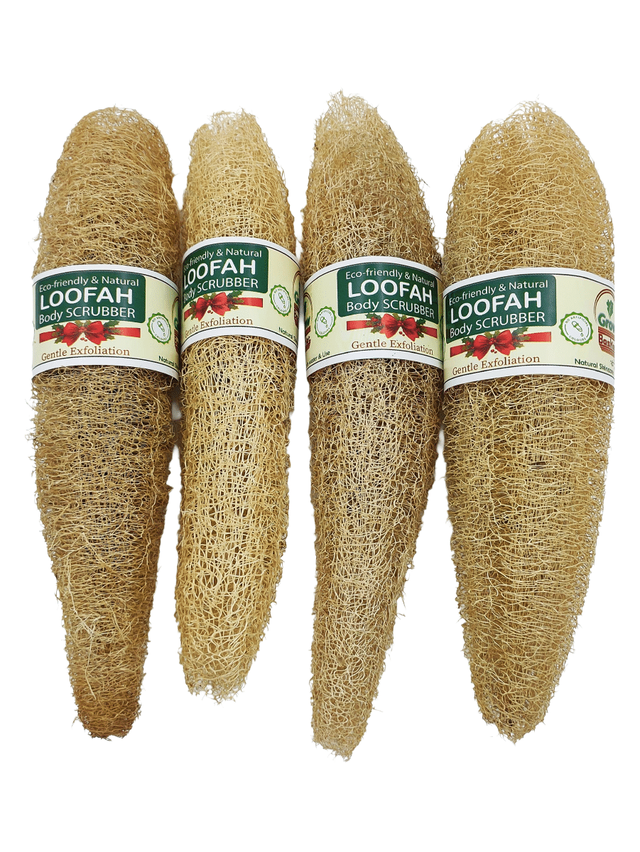 Grow Basket Natural Loofah Sponge Loofah Yellow Pack of 4 Grow Basket Natural Loofah Sponge Loofah Yellow Pack of 4