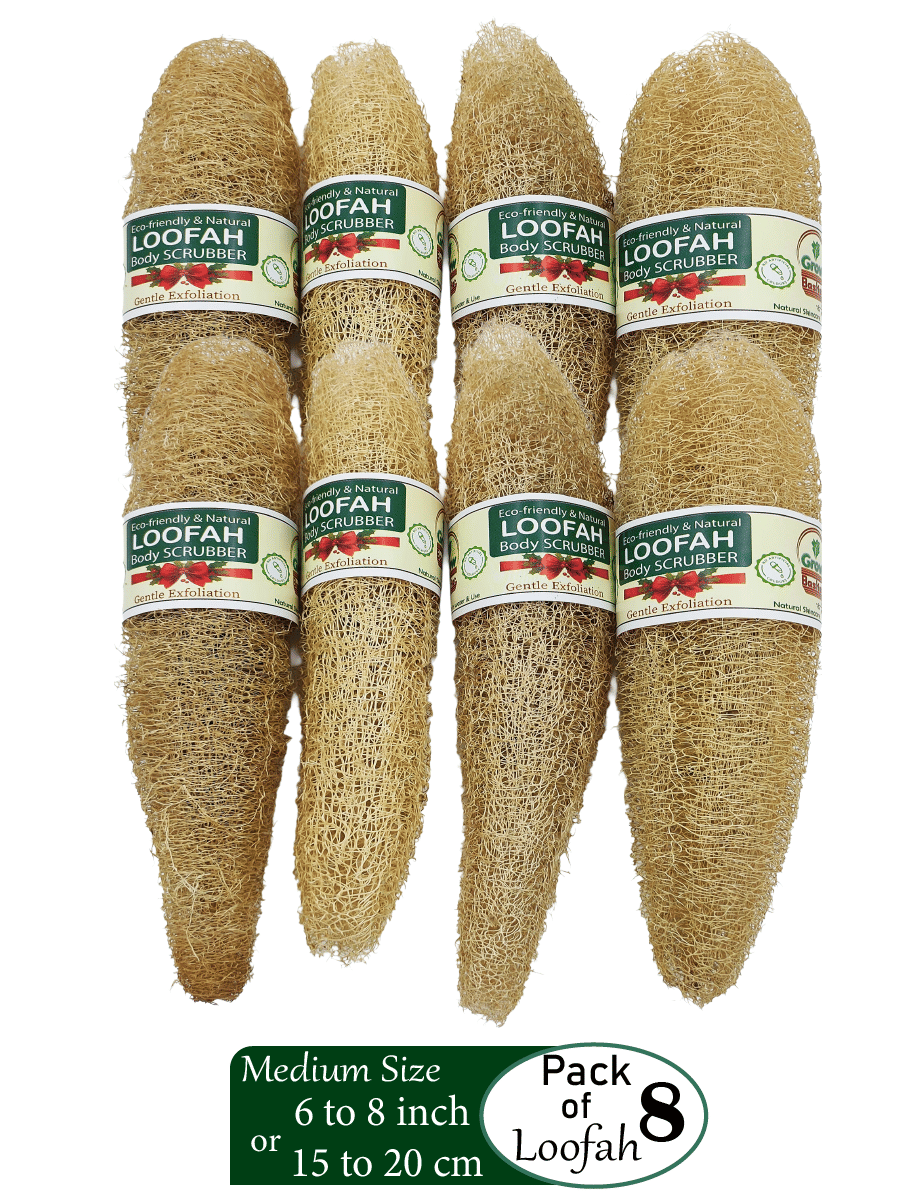 Grow Basket Natural Sponge Gourd Loofah Loofah Yellow Pack of 8 Grow Basket Natural Sponge Gourd Loofah Loofah Yellow Pack of 8