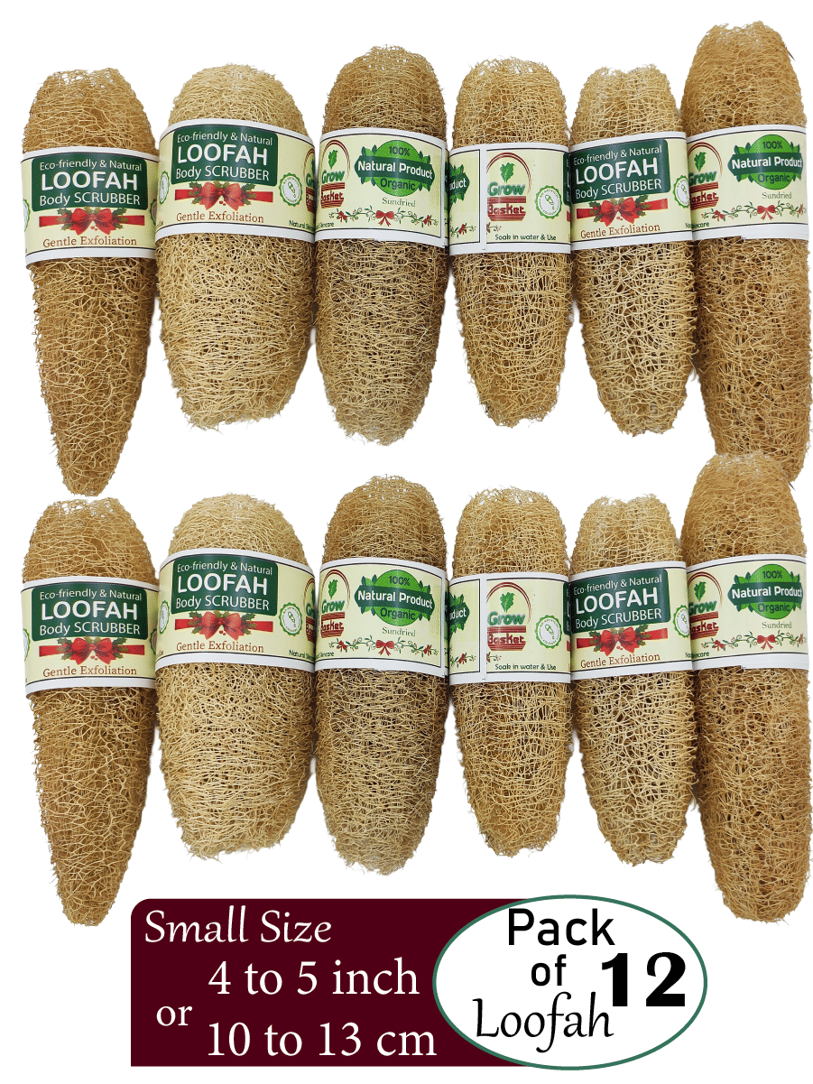 Grow Basket Natural Loofah Sponge Loofah Yellow Pack of 10 Grow Basket Natural Loofah Sponge Loofah Yellow Pack of 10