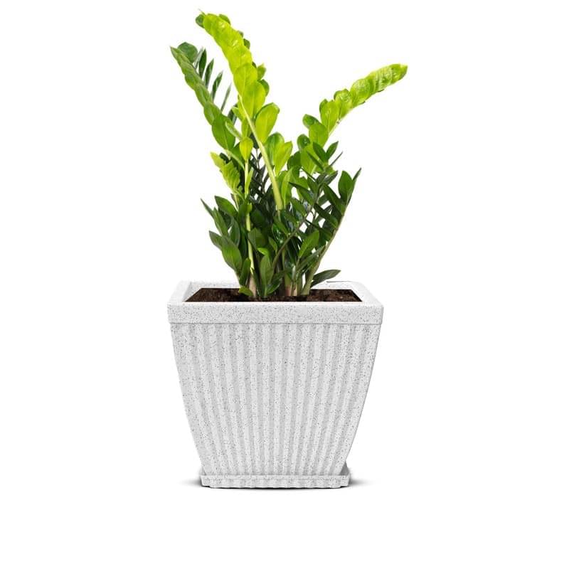     			10-Inch (25.4cm) Paris Flower Pot | Square Shape, Set of 1, White Marble Planter for Indoor & Outdoor | UV-Resistant, Lightweight Plastic Pots| Ideal for Flowers, Herbs, and Small Plants