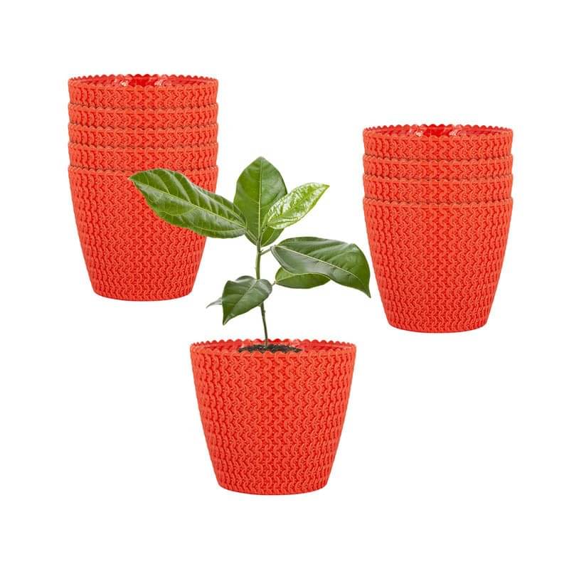     			7-Inch (17.78 cm) Poppy Flower Pot| Round Shape, Set of 10, Orange Planter for Indoor & Outdoor| UV-Resistant, Lightweight Plastic Pots| Ideal for Flowers, Herbs, and Small Plants