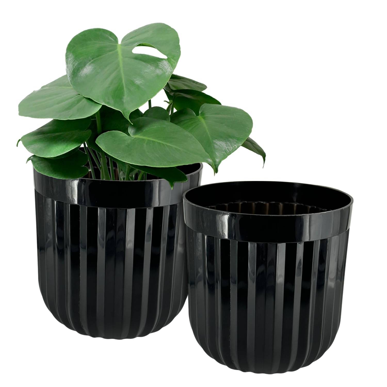     			Indoor and Outdoor Round Shape Black Seoul Flower Pot 8Inch (20.32 cm)|Set of 2 Plastic Planter|Suitable Use for Home/Office/Balcony Decoration