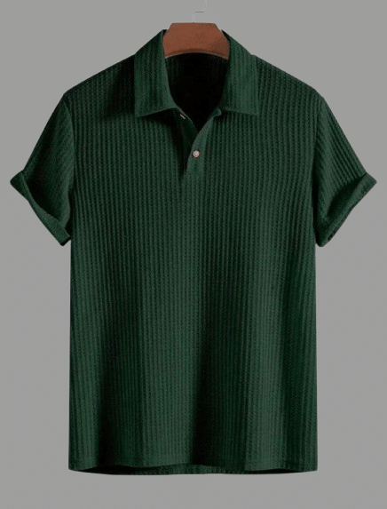 RAGSHI Men Cotton Blend Relaxed Fit Popcorn Textured Polo T Shirt ( Green ) RAGSHI Men Cotton Blend Relaxed Fit Popcorn Textured Polo T Shirt ( Green )