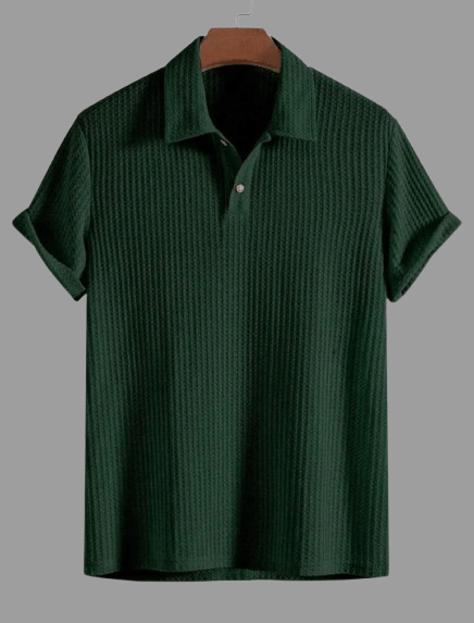 RAGSHI Men Cotton Blend Relaxed Fit Popcorn Textured Polo T Shirt ( Green ) RAGSHI Men Cotton Blend Relaxed Fit Popcorn Textured Polo T Shirt ( Green )