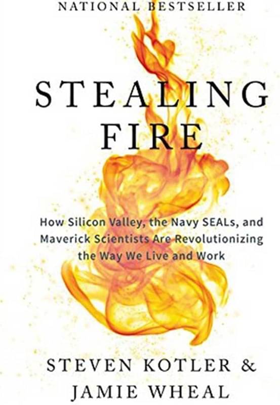 Stealing Fire (Paperback, Steven Kottler, Jammie Wheal) Stealing Fire (Paperback, Steven Kottler, Jammie Wheal)