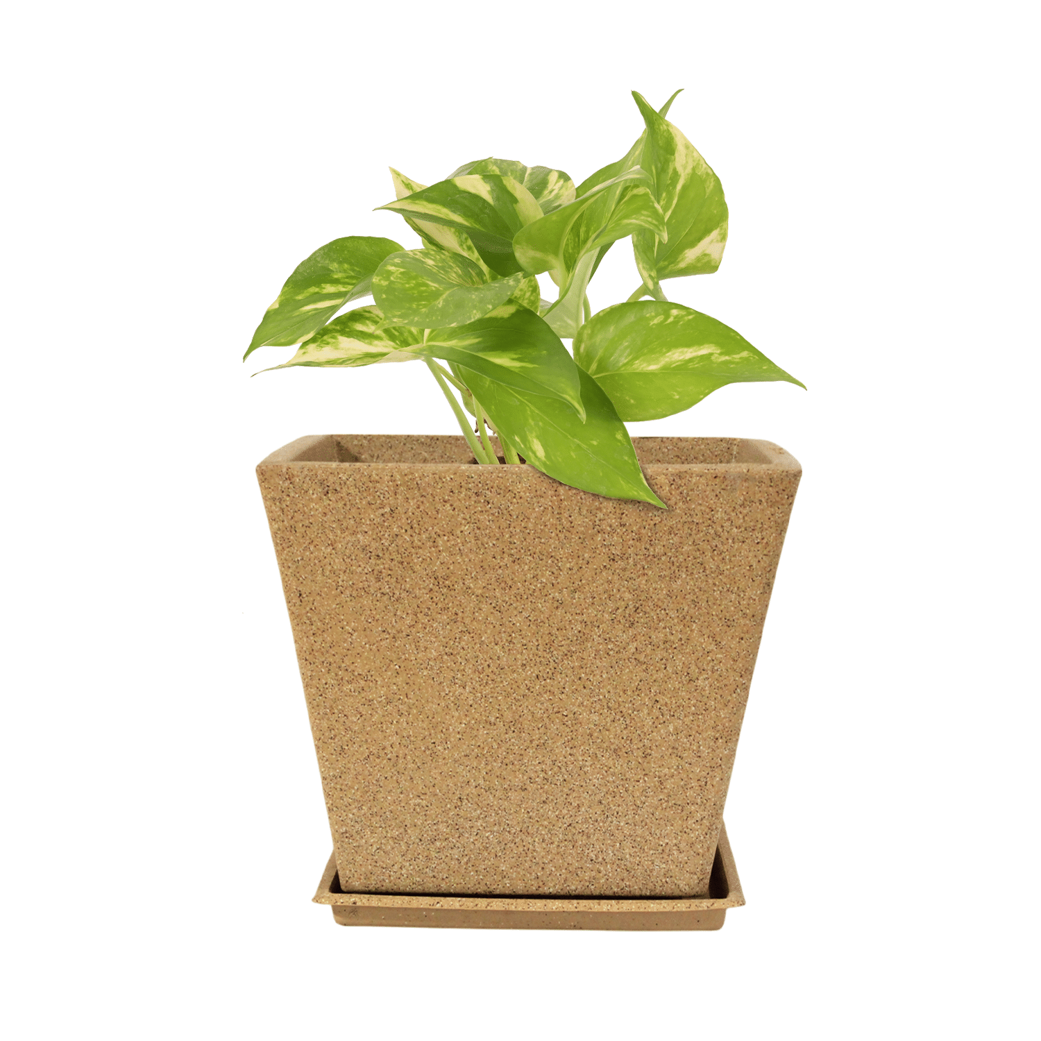 Stylish 14-Inch (35.5cm) Square Greece Marble Look Decorative Flower Pot with Bottom Tray | for Home, Office, Garden, or Gift Decor- Sand Stone Stylish 14-Inch (35.5cm) Square Greece Marble Look Decorative Flower Pot with Bottom Tray | for Home, Office, Garden, or Gift Decor- Sand Stone