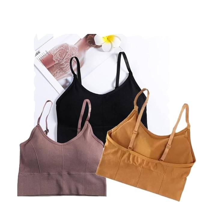     			Taslar Pack of 3 Cotton Blend Lightly Padded Everyday Bra For Women ( Multicolor )