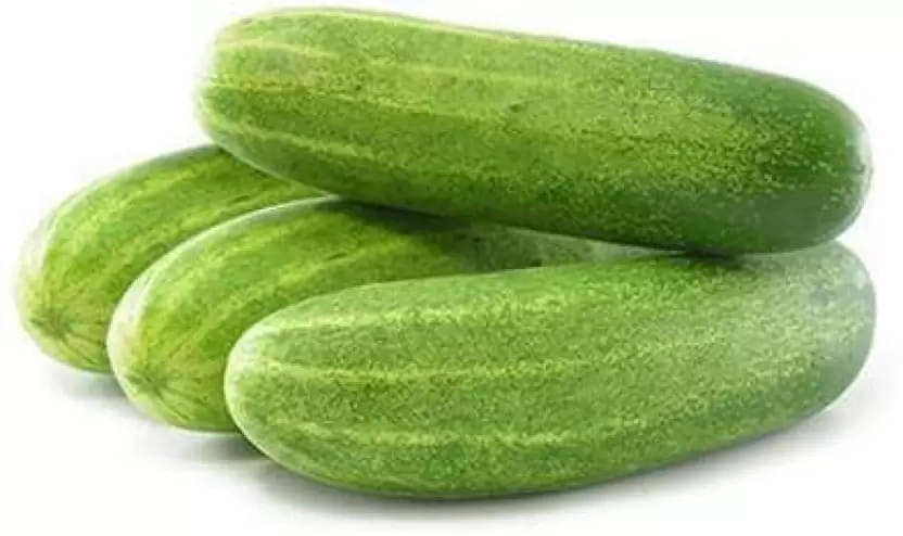 LiveNature Cucumber Seeds | Desi Kheera Seeds | Vegetable Seeds for Home Garden & Terrace – Pack of 100 Seeds LiveNature Cucumber Seeds | Desi Kheera Seeds | Vegetable Seeds for Home Garden & Terrace – Pack of 100 Seeds