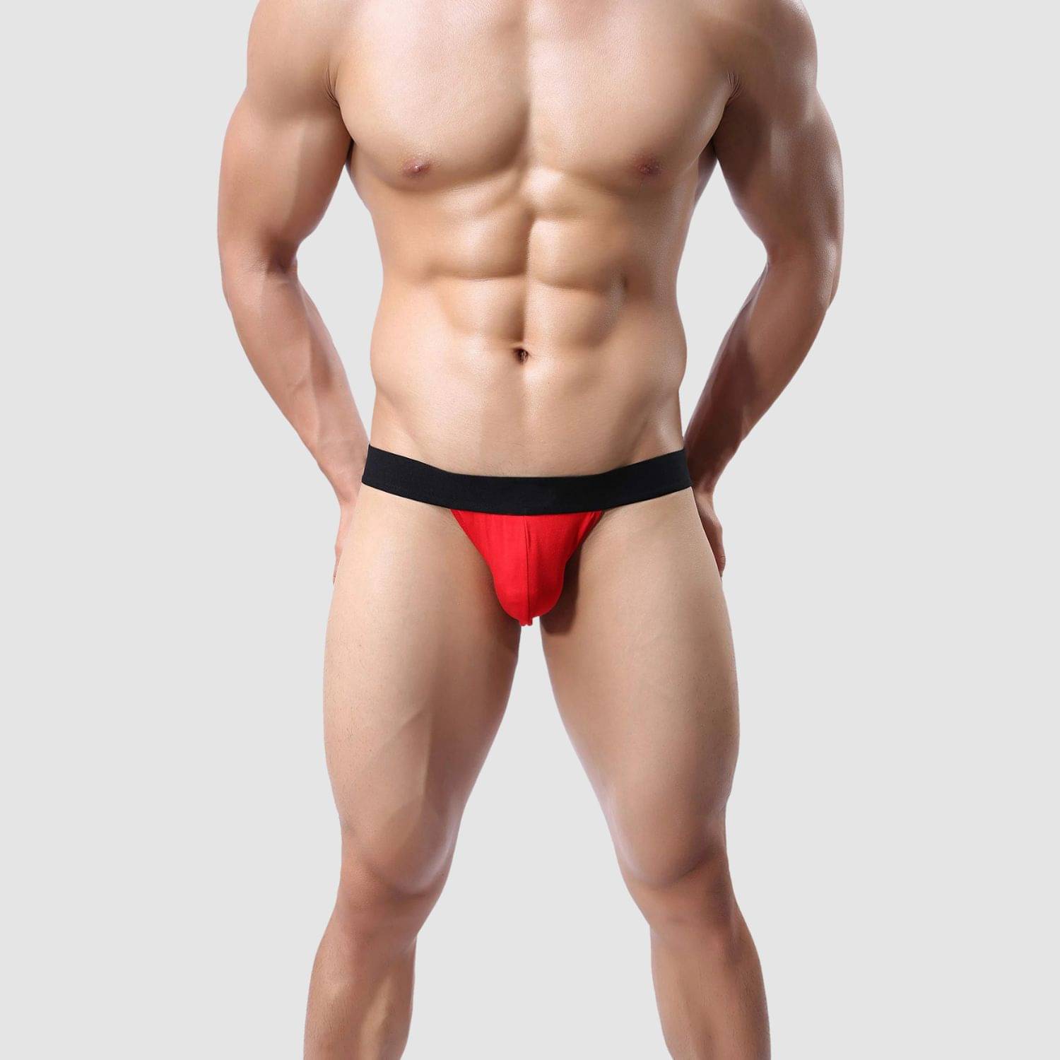     			LoveAasan Pack of 1 Microfibre Briefs For Men's ( Red )