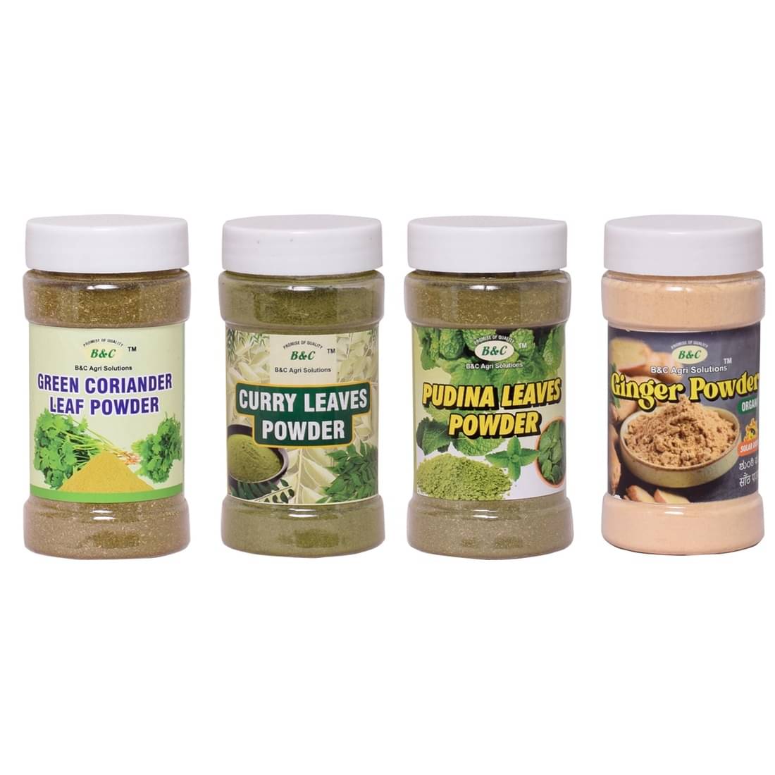 B & C Agri Solutions Coriander+Pudina+Curry Leaf+Ginger Powder 325 gm Pack of 4 B & C Agri Solutions Coriander+Pudina+Curry Leaf+Ginger Powder 325 gm Pack of 4