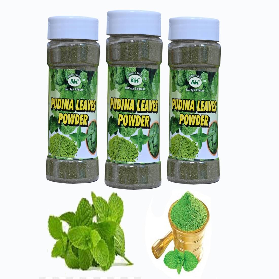     			B & C Agri Solutions Natural Mint Powder 75 gm Pack of 3