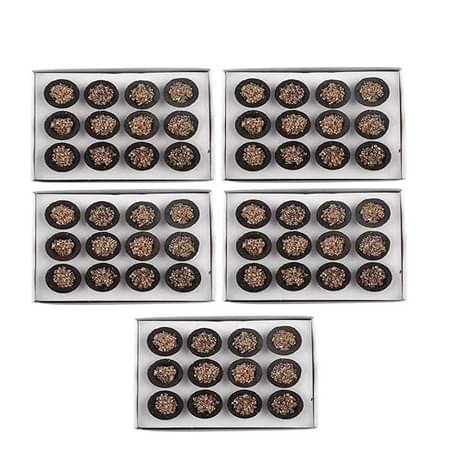     			Divyanshi Enterprises Havan Saamagri 1 ( Pack of 5 )