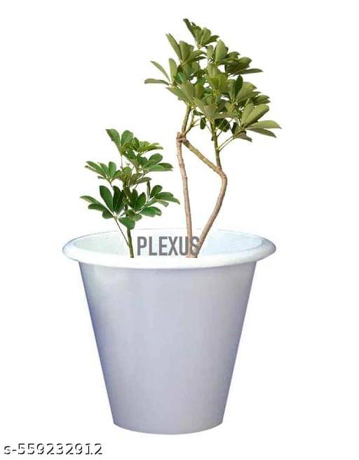 PLEXUS Polylab 100mm Flower Pot for Home (1 Pc, WHITE),Indoor & Outdoor Gamla, Gardening Plant Container Set (Pack of 1, Plastic) PLEXUS Polylab 100mm Flower Pot for Home (1 Pc, WHITE),Indoor & Outdoor Gamla, Gardening Plant Container Set (Pack of 1, Plastic)