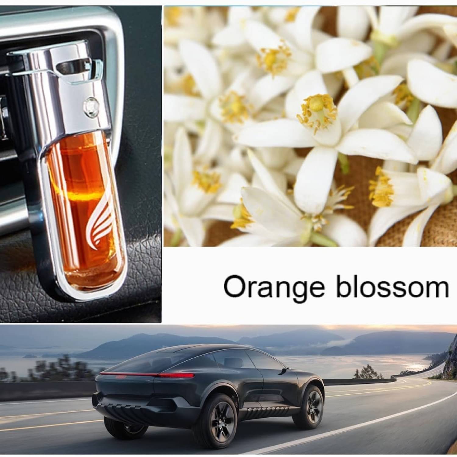     			Skindora Car Perfume for Usage Orange