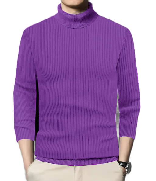     			nikline Woollen High Neck Men's Sweatshirt - Purple ( Pack of 1 )