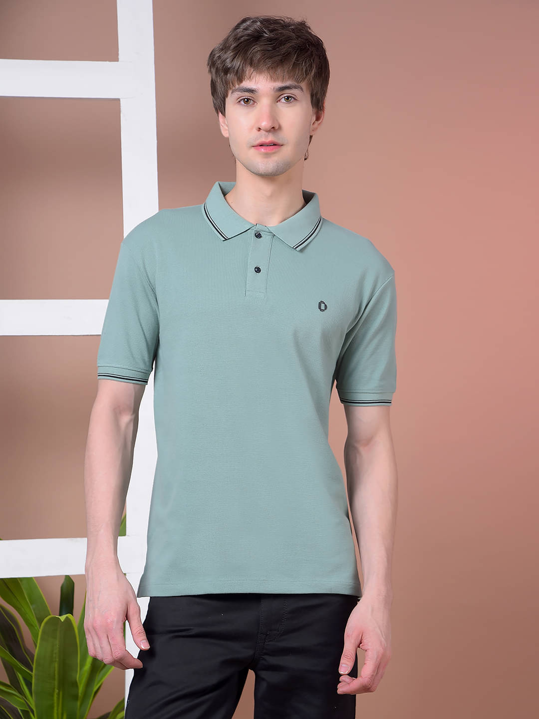 Dollar Men Cotton Regular Fit Solid Polo T Shirt ( Green ) Dollar Men Cotton Regular Fit Solid Polo T Shirt ( Green )