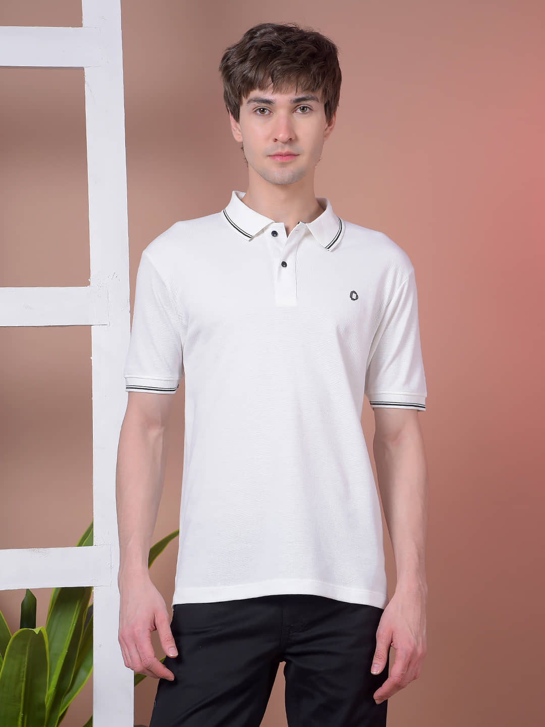 Dollar Men Cotton Regular Fit Solid Polo T Shirt ( Light Grey )