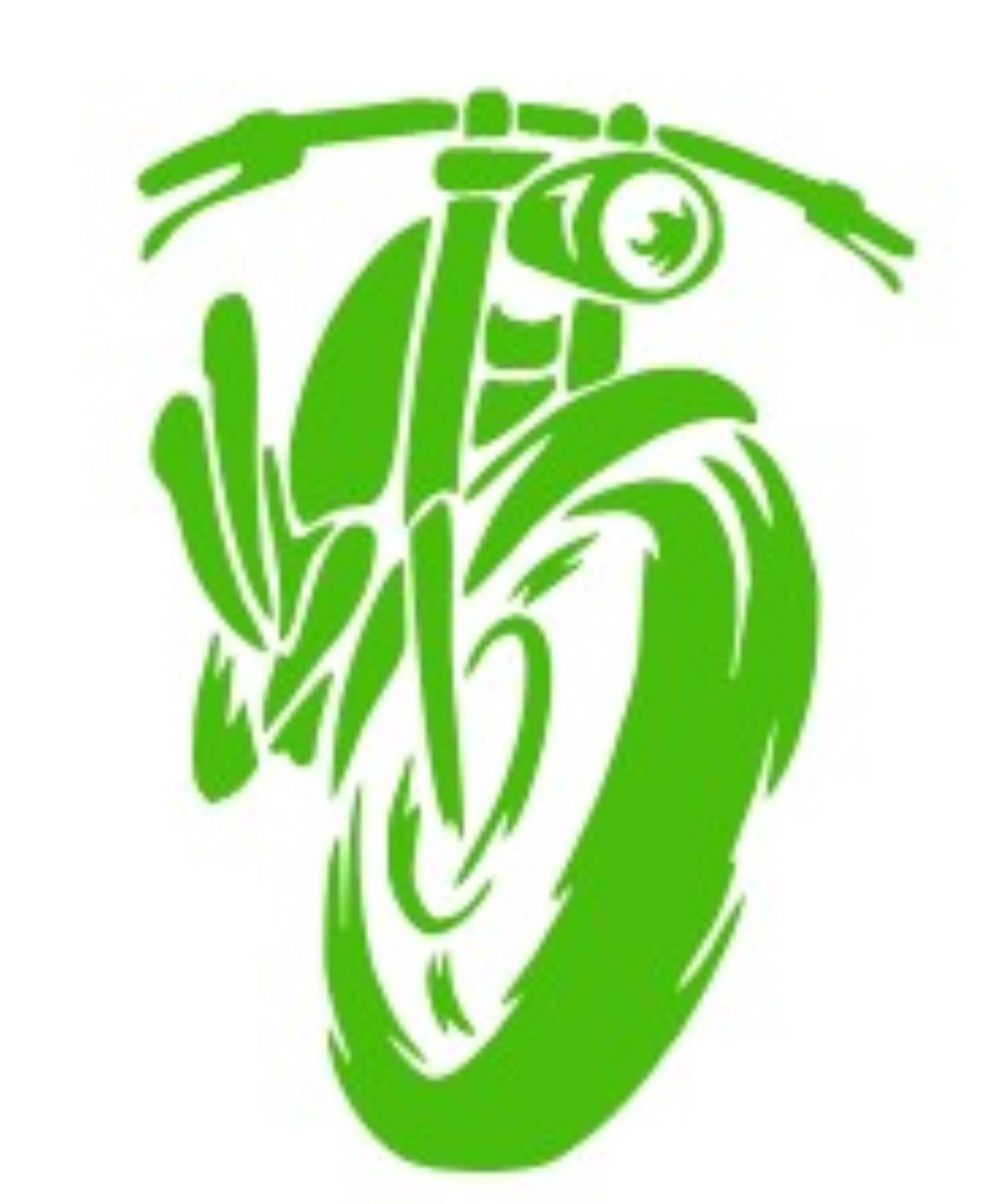 USTAAD Art Radium/Viny Bike style Name  Sticker for Wall Decor / Bike / Car (Size L 7 inch x W 5 inch) (Colour - As Image)  (Pack of 1)     			USTAAD Art Radium/Viny Bike style Name  Sticker for Wall Decor / Bike / Car (Size L 7 inch x W 5 inch) (Colour - As Image)  (Pack of 1)