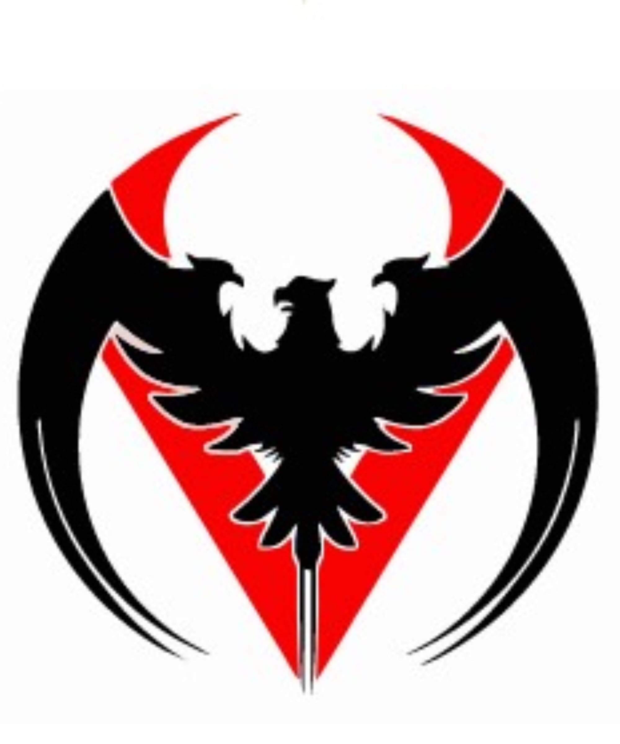     			USTAAD Art Radium/Viny Eagle Blade  Sticker for Wall Decor / Bike / Car (Size L 6.3 inch x W 6.3 inch) (Colour - As Image)  (Pack of 1)