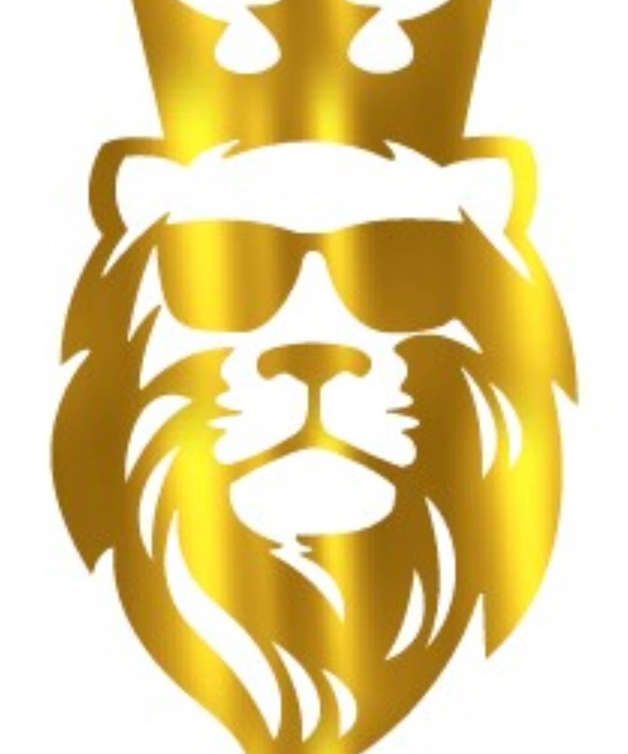     			USTAAD Art Radium/Viny Stylish Lion Name  Sticker for Wall Decor / Bike / Car (Size L 6.4 inch x W 4 inch) (Colour - As Image)  (Pack of 1)