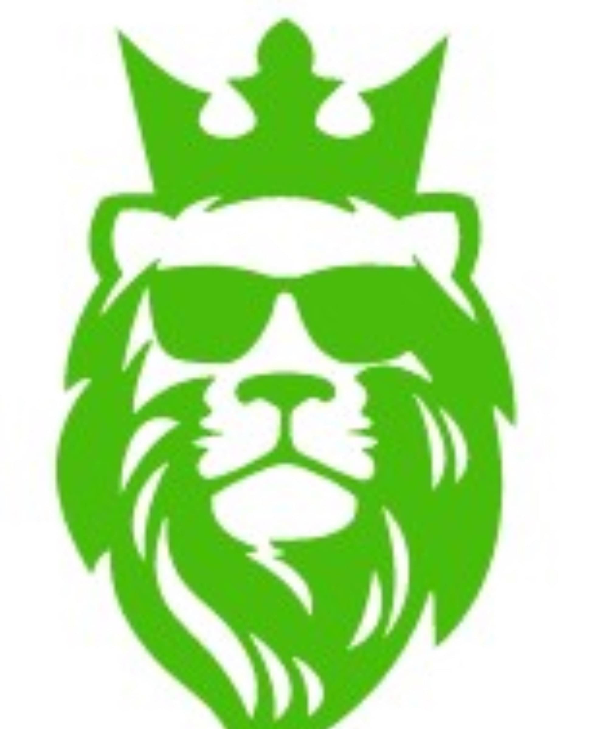 USTAAD Art Radium/Viny Stylish Lion Name Sticker for Wall Decor / Bike / Car (Size L 6.4 inch x W 4 inch) (Colour - As Image) (Pack of 2) USTAAD Art Radium/Viny Stylish Lion Name Sticker for Wall Decor / Bike / Car (Size L 6.4 inch x W 4 inch) (Colour - As Image) (Pack of 2)