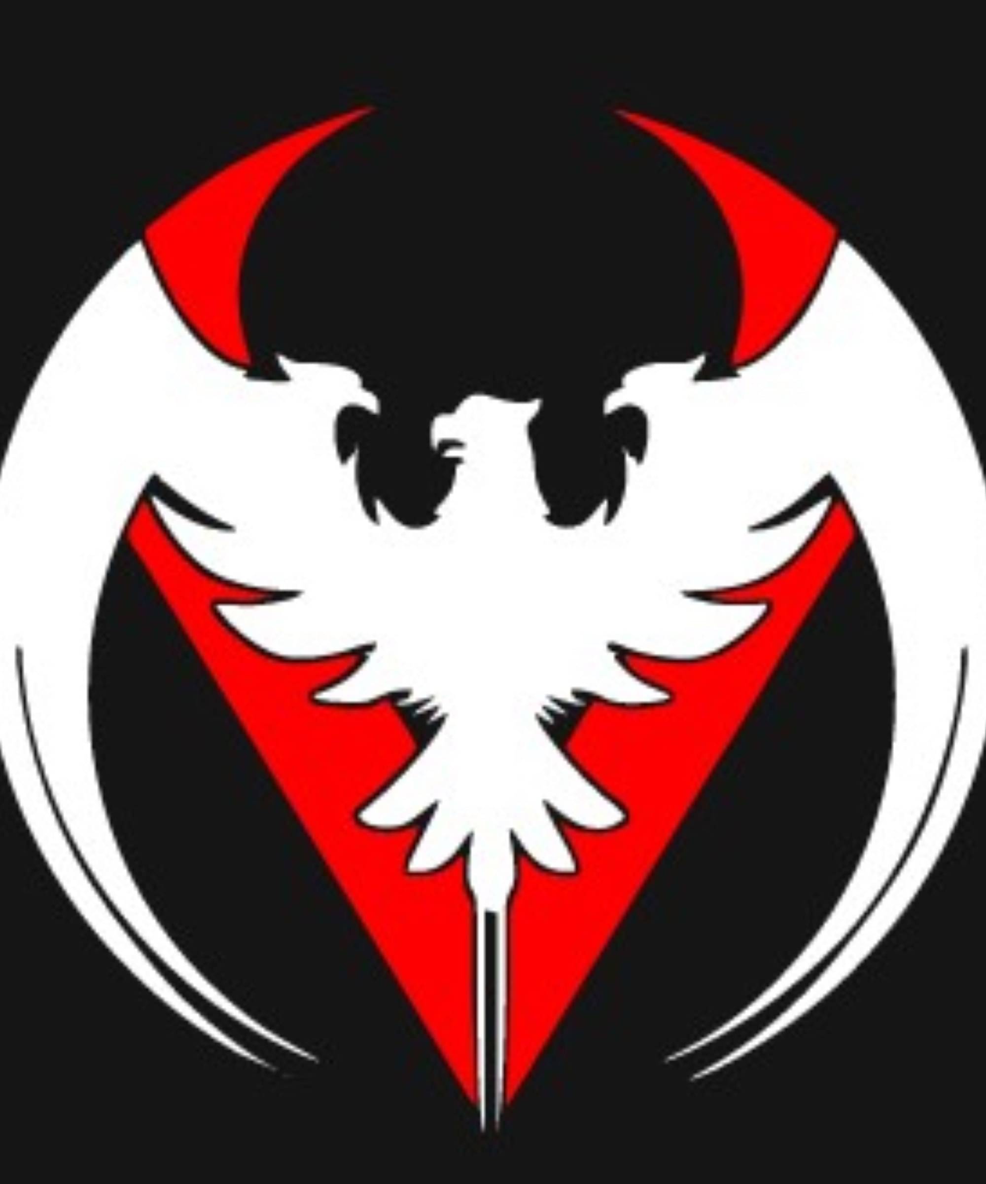 USTAAD Art Radium/Vinyl Eagle Blade Sticker for Wall Decor / Bike / Car (Size L 4.8 inch x W 4.9 inch) (Colour - As Image) (Pack of 2) USTAAD Art Radium/Vinyl Eagle Blade Sticker for Wall Decor / Bike / Car (Size L 4.8 inch x W 4.9 inch) (Colour - As Image) (Pack of 2)