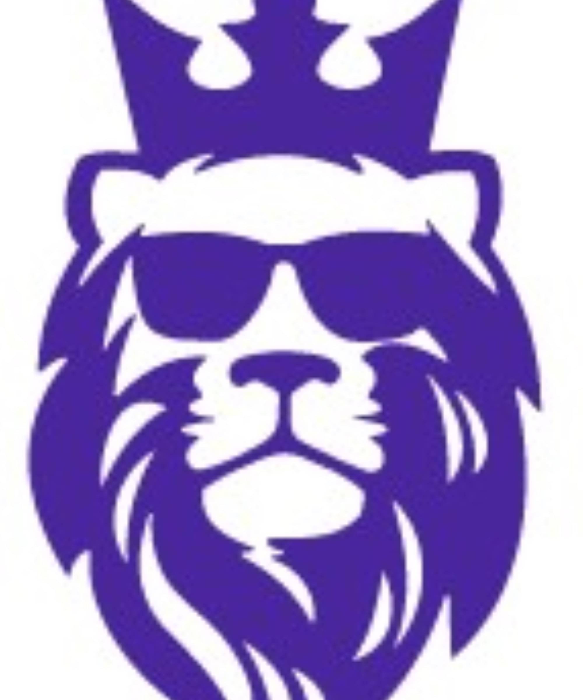     			USTAAD Art Radium/Vinyl Stylish Lion Name Sticker for Wall Decor / Bike / Car (Size L 4.8 inch x W 3 inch) (Colour - As Image)  (Pack of 1)