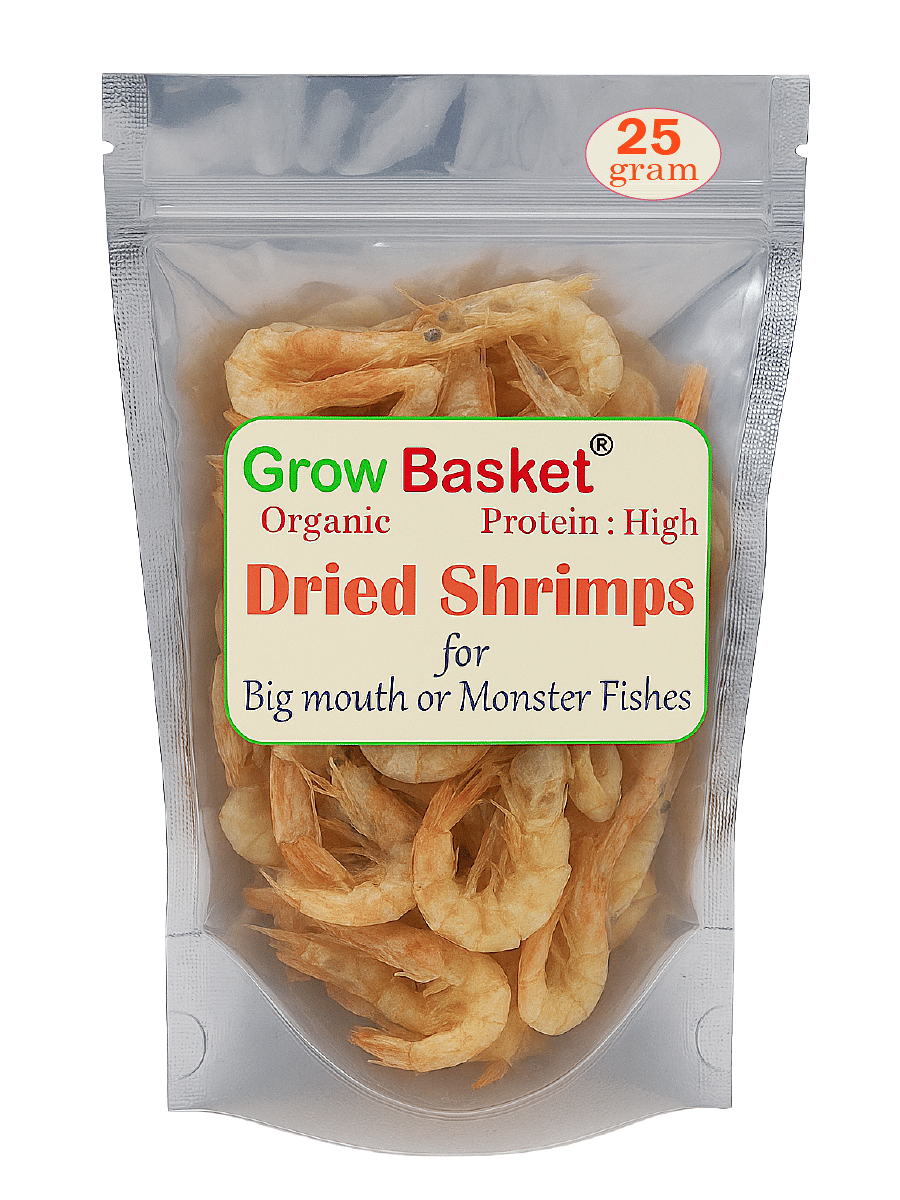 Freeze Dried Shrimp & BSF Larvae Combo Fish Food – High Protein Natural Feed for Arowana, Oscar, Discus, Cichlid, Flowerhorn, Red Parrot & Carnivorous Fish – Daily Diet Freeze Dried Shrimp & BSF Larvae Combo Fish Food – High Protein Natural Feed for Arowana, Oscar, Discus, Cichlid, Flowerhorn, Red Parrot & Carnivorous Fish – Daily Diet