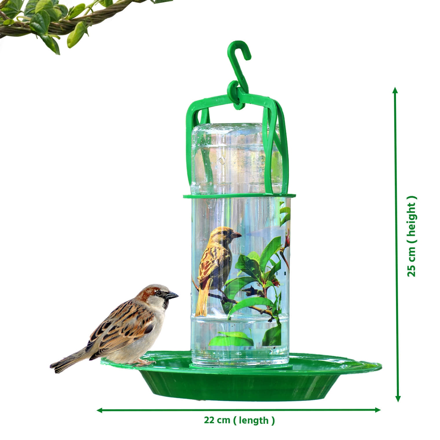 Amijivdaya Bird Feeder Green W