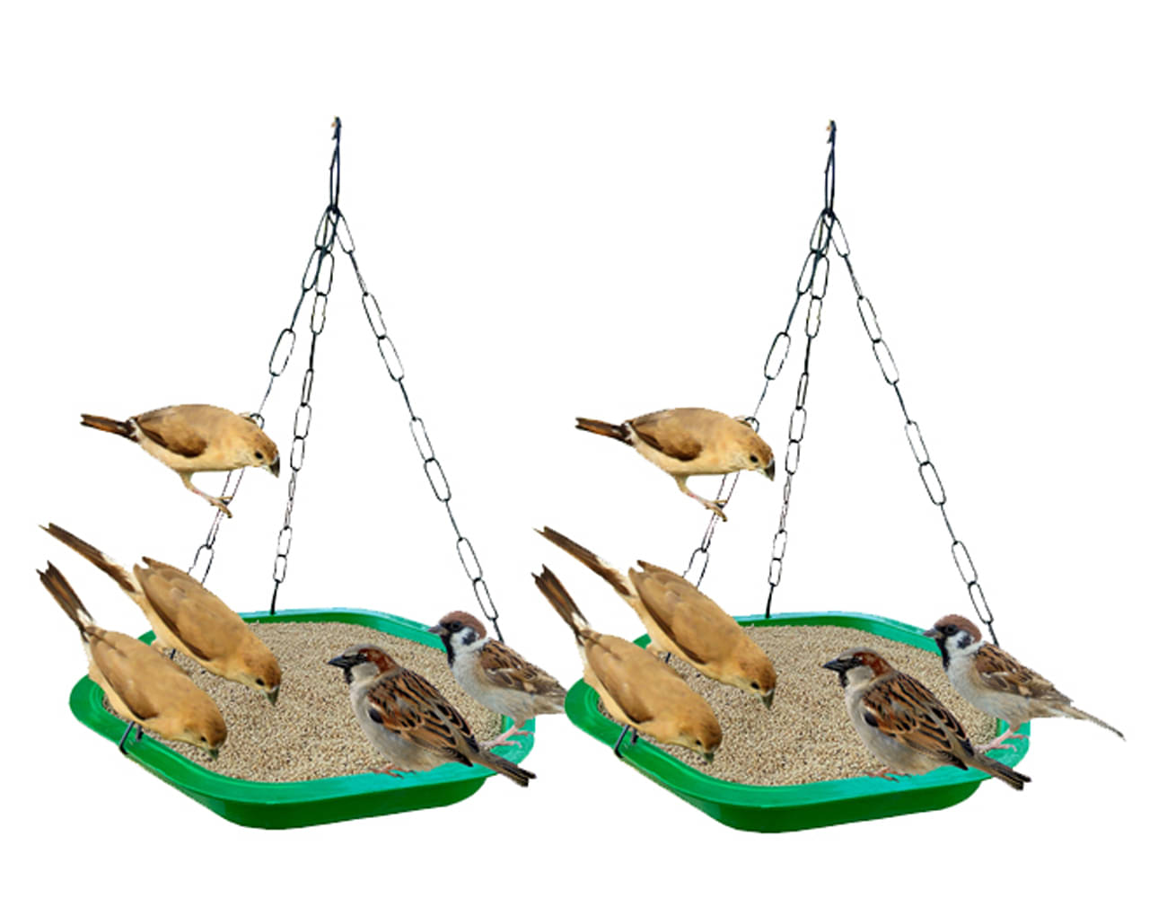     			Big Bowl Multipurpose 2