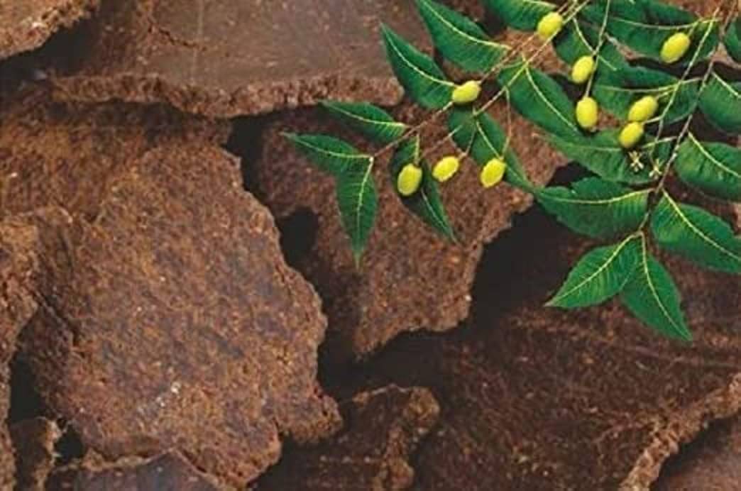 Neem Khali Cake/powder | plant growth | organic pest control. Neem Khali Cake/powder | plant growth | organic pest control.