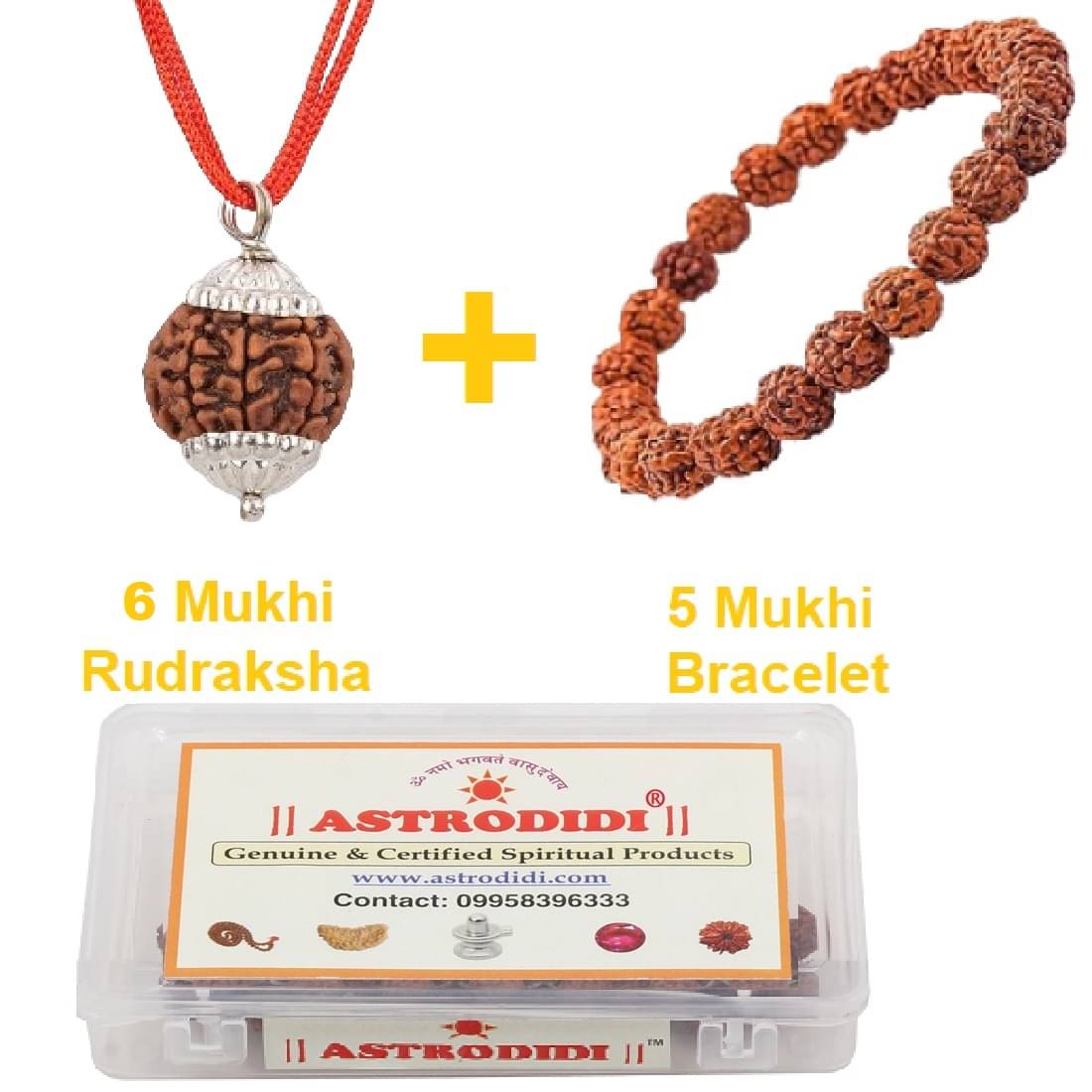     			Nepali 6 Mukhi Rudraksha Pendant with 5 Mukhi Rudraksha Bracelet