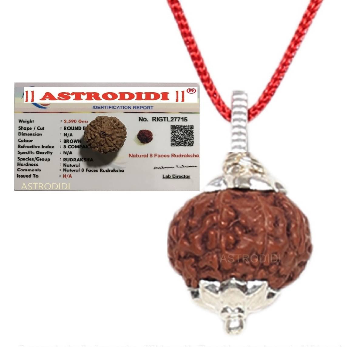     			8 Mukhi Rudraksha Eight Face Small Indonesian Java Rudraksha Pendant with Lab Certificate