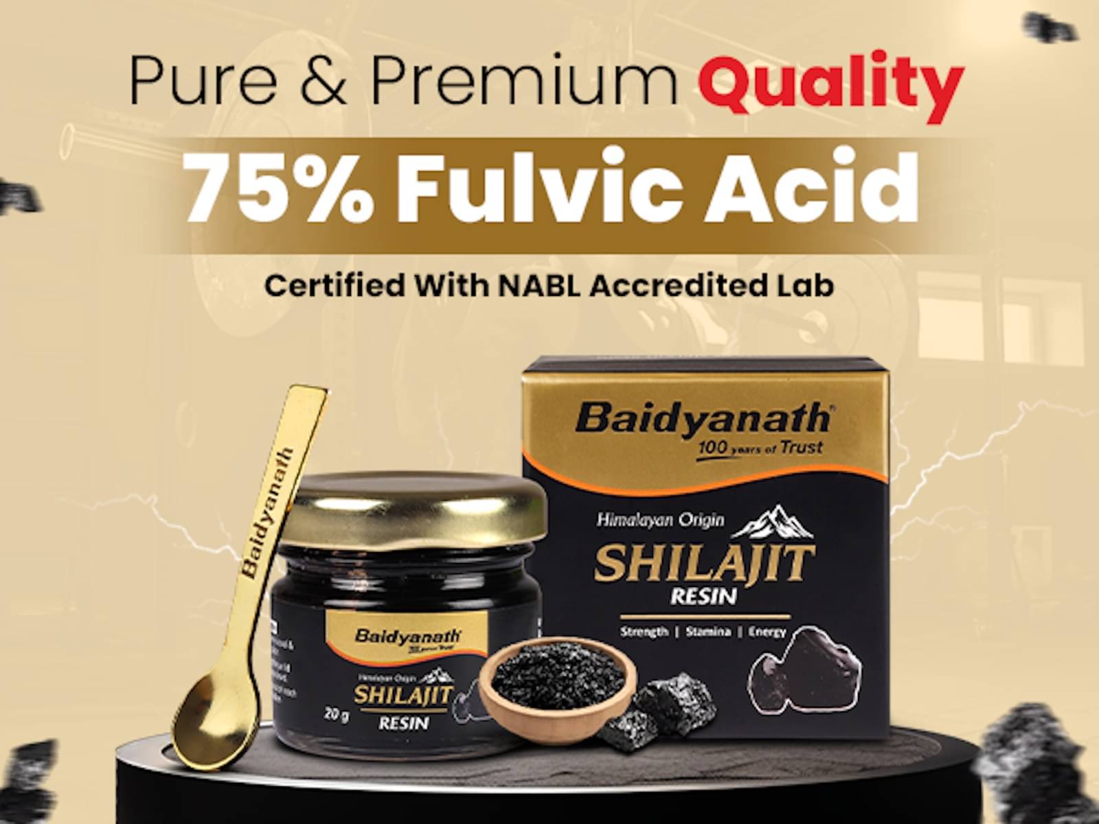     			BAIDYANATH SHILAJIT RESIN 20 GM