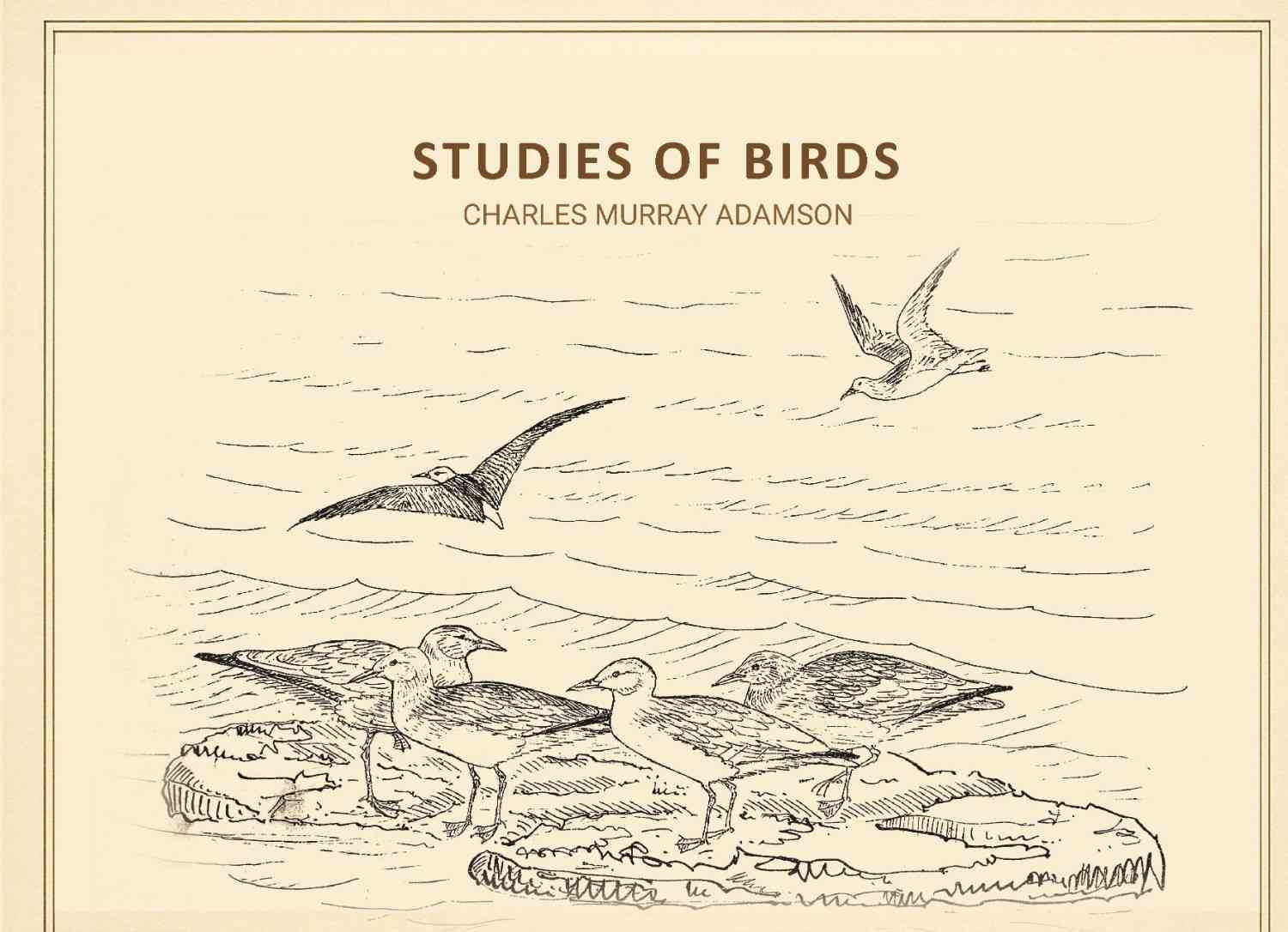     			Studies of birds
