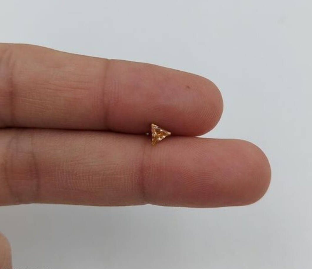     			TLGS Brass Nose Stud ()