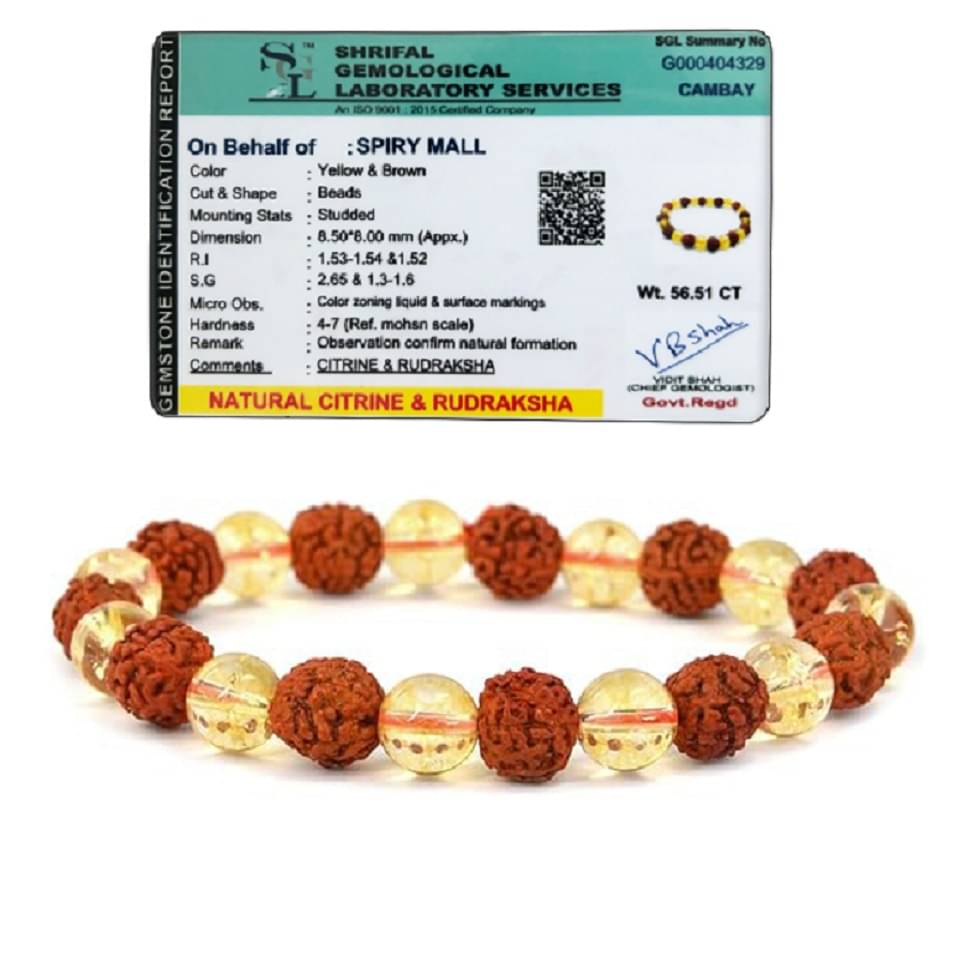     			Spiry Multicolor Bracelet ( Pack of 1 )